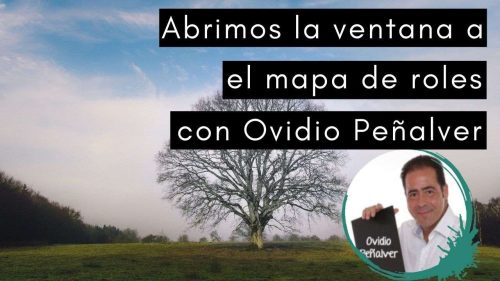 Mapa de Roles Ovidio