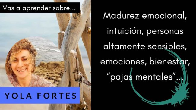 Yola Fortes Cartelas